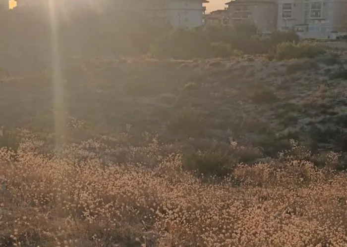 Apartment La Mata -maya Torrevieja